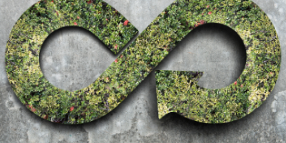 Nature based investing ft 387×387