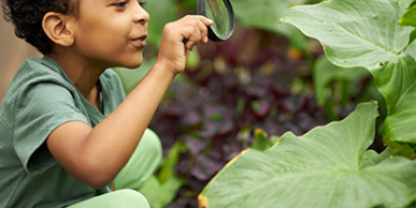 nature paper blog post size