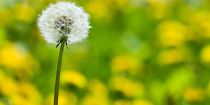 Diversity fight the urge to invest in the familiar market insight paper cover imager