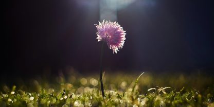 zoltan-tasi-2by7OlkXF2s-unsplash